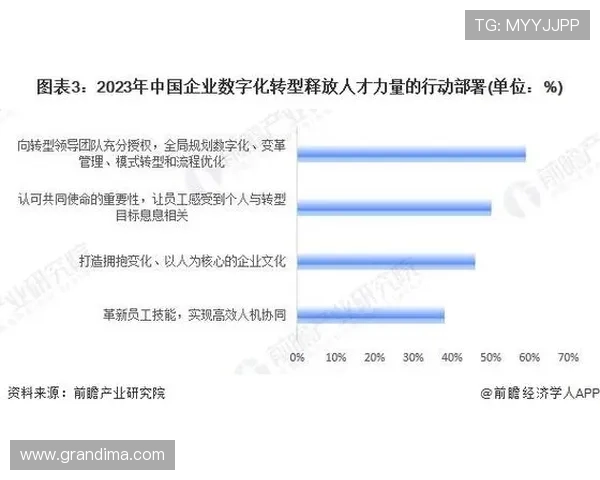 亚傅体育集团推动体育产业数字化转型的具体措施与实现路径分析 亚傅体育集团推动体育产业数字化转型的具体措施与实现路径分析