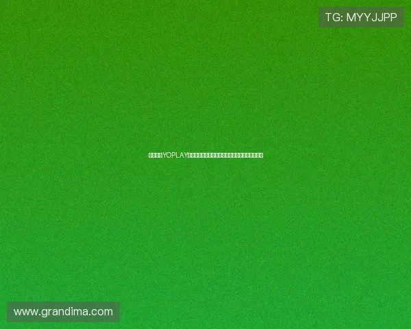 全面解析YOPLAY电子平台的安全性与信誉保障让玩家放心娱乐体验