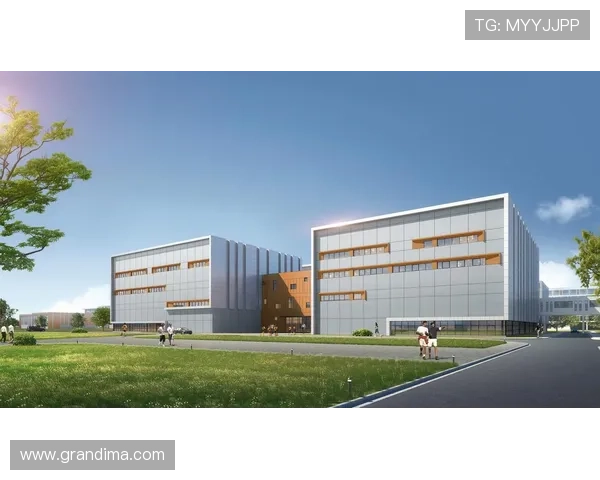 海星体育登录界面设计人性化提升用户操作体验感 海星体育登录界面设计人性化提升用户操作体验感