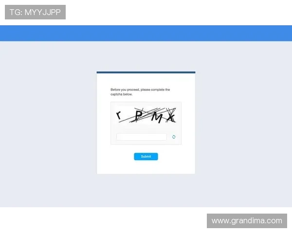 飞驰在线注册平台注册流程中的验证码验证技巧