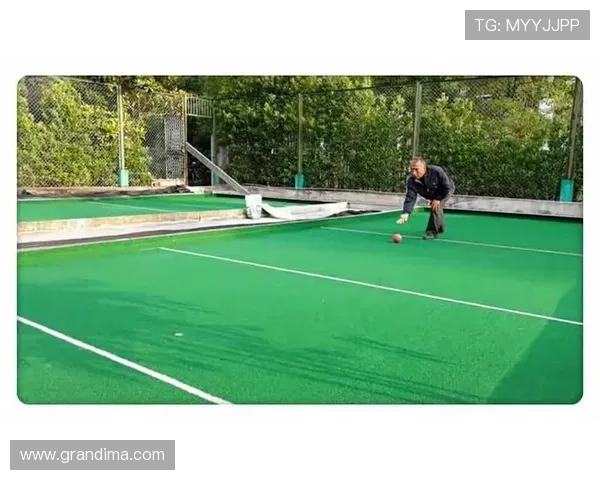 玩球平台有哪些支持多种体育项目和便捷操作的综合性游戏平台推荐 玩球平台有哪些支持多种体育项目和便捷操作的综合性游戏平台推荐