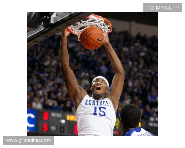 如何选择合适的体育数据平台：以Ksport凯旋体育数据为例的比较分析
